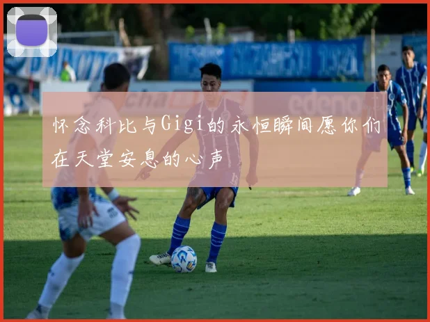 怀念科比与Gigi的永恒瞬间愿你们在天堂安息的心声